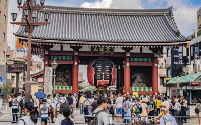 Tokyo Sumo Entertainment Show with Chicken Hot Pot and Geisha (2026 Review & Booking Guide)