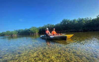 Best Time to Visit Key Largo (2026): Month-by-Month Guide