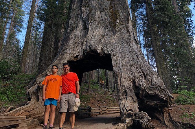 Best Tours & Experiences in Yosemite Valley 9 Giant Sequoia Snowshoe and Yosemite Valley Waterfalls Adventure