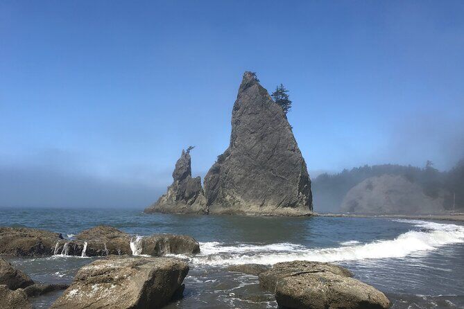Rialto Beach Tide Pooling Day Hike - Olympic National Park