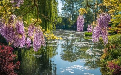 Giverny from Paris: Guided Tour vs Do It Yourself (Cost & Time Compared)