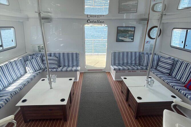 Luxury Whale Watching Fewer People Extra Speed Expert Staff - Newport Beach California