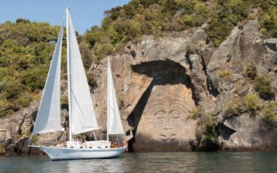 Best Tours & Experiences in Taupo