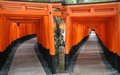 PERFECT KYOTO 1-Day Bus Tour (2026 Review & Booking Guide)