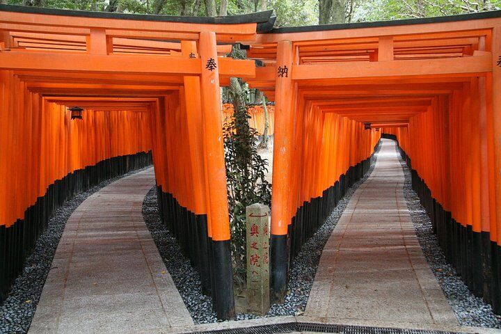 PERFECT KYOTO 1-Day Bus Tour in Kyoto
