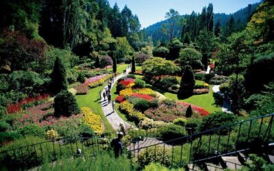 Best Tours in Vancouver: Top Ways to Experience the City (2026)