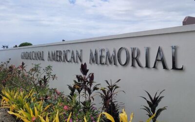 Best Tours & Experiences in Honiara