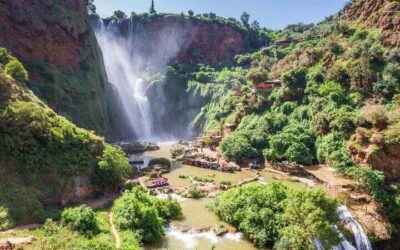 Private vs Small Group Tours in Marrakech: Which Should You Book? (2026)