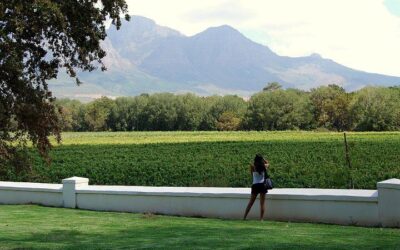 How Much Do Tours in Cape Town Cost? Cape Town Tour Prices (2026)