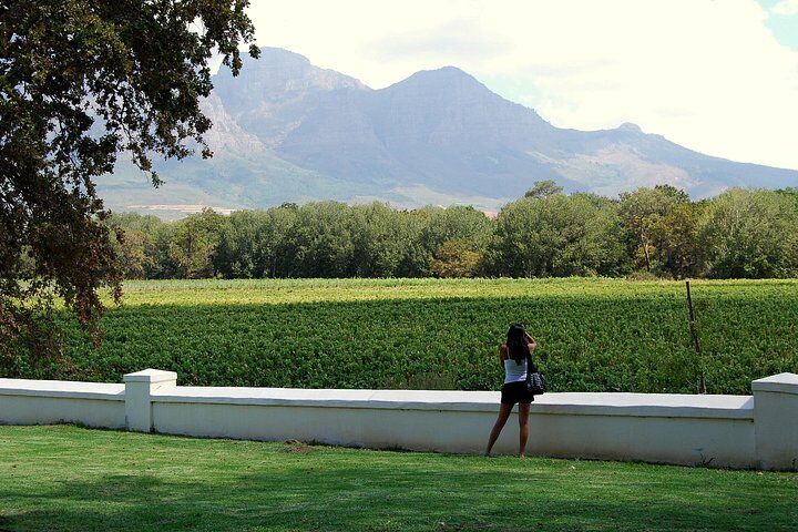 African Story Wine Tours in the Cape Winelands (2026 Review & Booking Guide) 1 African Story Wine Tours in the Cape Winelands in Cape Town