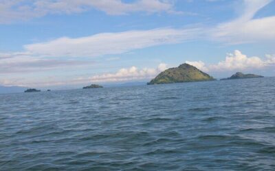 Best Tours & Experiences in Gisenyi, Rwanda