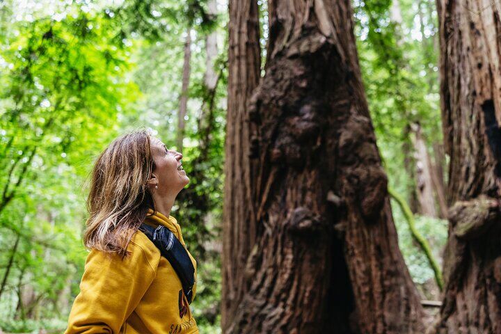 Muir Woods and Sausalito Tour (Return by Bus or Ferry) in San Francisco