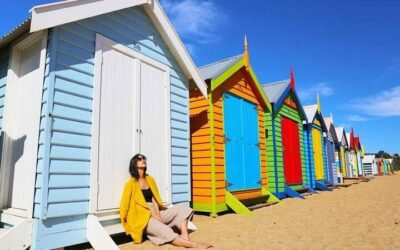 Phillip Island Penguin Parade Day Tour from Melbourne (2026 Review & Booking Guide)