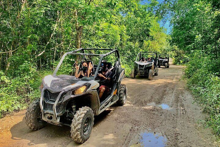 Buggy & Cenote tour in Playa del Carmen by One Jungle (2026 Review & Booking Guide) 1 Buggy & Cenote tour in Playa del Carmen by One Jungle in Playa del Carmen