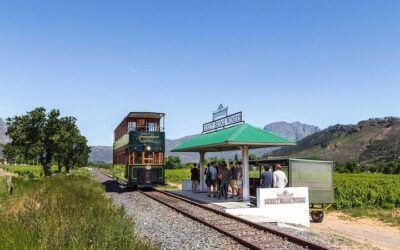 Wine Tour: Paarl, Franschhoek & Stellenbosch incl 3 wineries (2026 Review & Booking Guide)