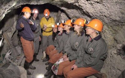 Best Tours & Experiences in Potosi