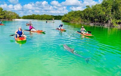 Best Things to Do in Fort Myers (2026): Top-Rated Tours & Experiences