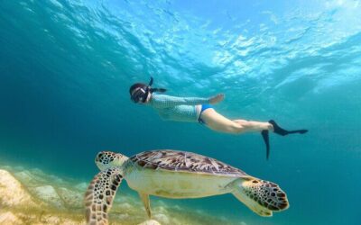 Best Tours & Experiences in St Croix