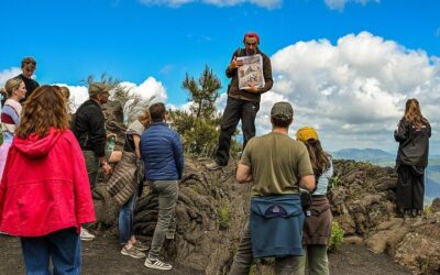 Pompeii & Mt. Vesuvius Elite Tour & Lunch From Naples (2026 Review & Booking Guide)