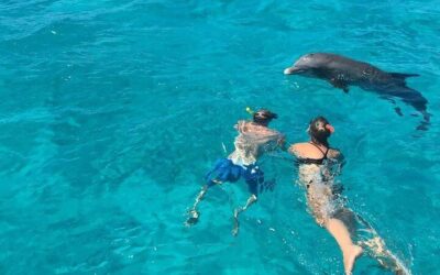 Best Day Trips from Providenciales (2026)