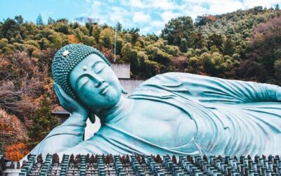 Best Tours & Experiences in Fukuoka