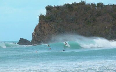 Best Tours & Experiences in Tortola