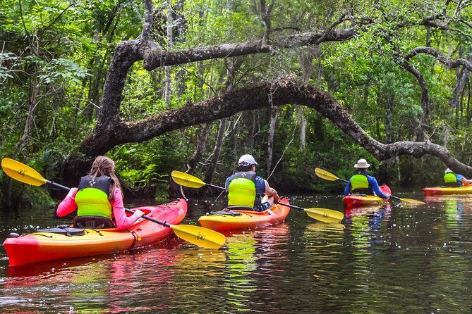 Lofton Creek Kayak Tour - Jacksonville Florida