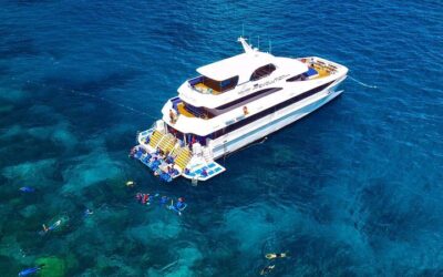 Great Barrier Reef Snorkeling and Diving Cruise from Cairns (2026 Review & Booking Guide)