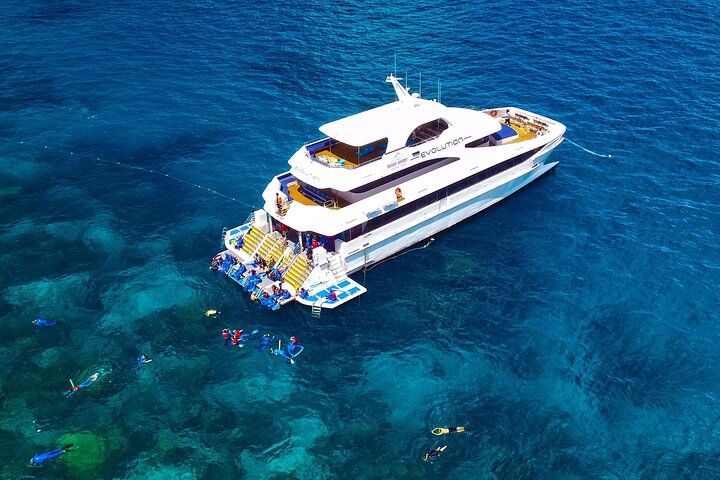 Great Barrier Reef Snorkeling and Diving Cruise from Cairns (2026 Review & Booking Guide) 1 Great Barrier Reef Snorkeling and Diving Cruise from Cairns in Cairns and the Tropical North