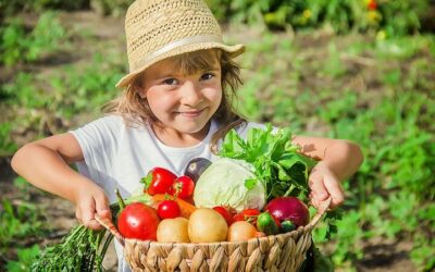 Where to Stay in Amalfi Coast: Best Areas & Neighborhoods (2026)