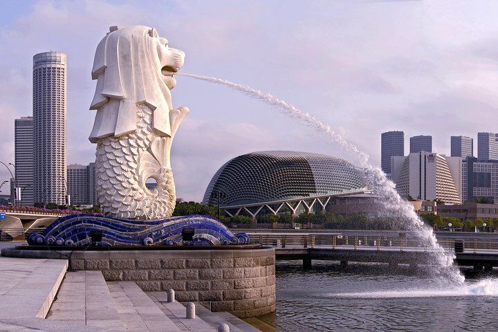 Private vs Small Group Tours in Singapore: Which Should You Book? (2026) 11 Half-Day Singapore City Highlights & Orchid Garden Tour
