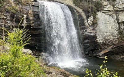 Best Time to Visit Asheville (2026): Month-by-Month Guide