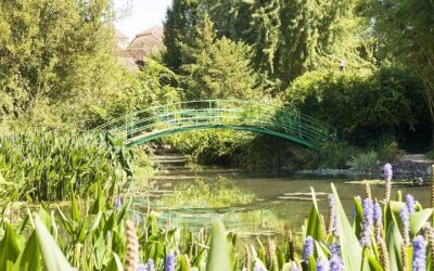 Private vs Small Group Tours in Paris: Which Should You Book? (2026)