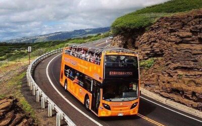 How to Get Around Honolulu: Public Transport & Walkability Guide (2026)