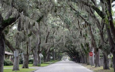 Best Things to Do in St Augustine (2026): Top-Rated Tours & Experiences