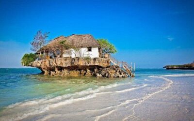 Best Tours & Experiences in Zanzibar