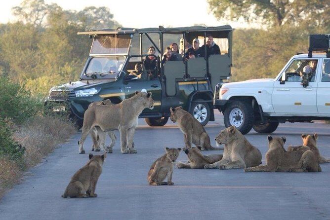 Best Tours & Experiences in Johannesburg 17 3 Days Guided Kruger National Park Safari from Johannesburg
