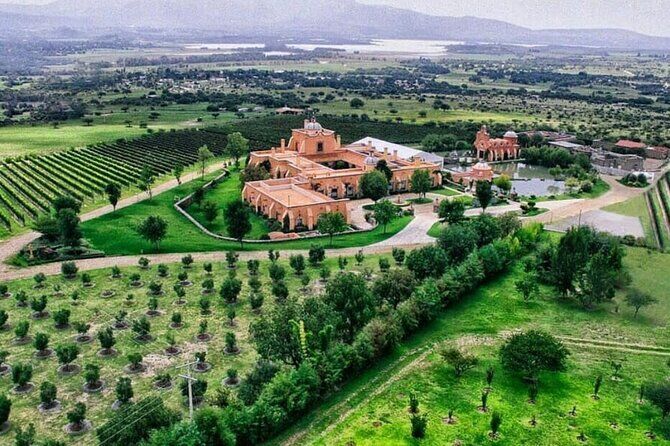 3 Hour Wine Tasting Tour in San Miguel