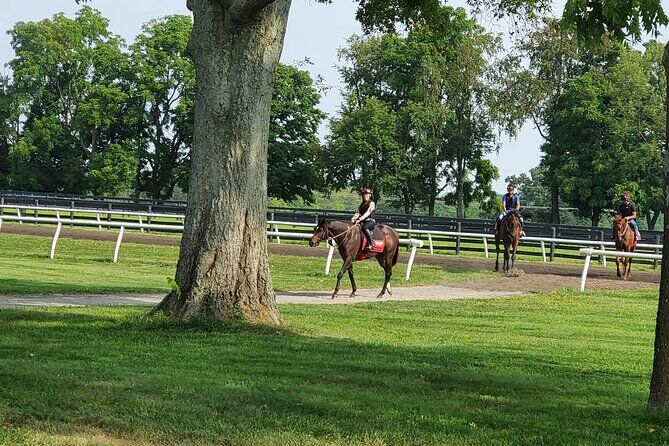 렉싱턴 켄터키 호스 컨트리 최고의 투어 & 체험 18 Full Day Unique Horse Farm Tours W Clay Pigeon Shooting - Lexington Kentucky Horse Country