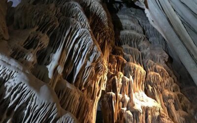 Best Time to Visit Monterrey (2026): Month-by-Month Guide