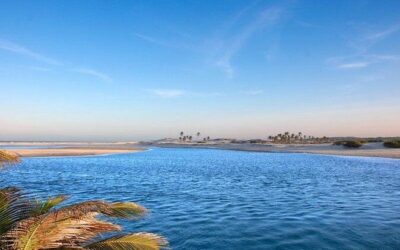 Best Tours & Experiences in Fortaleza