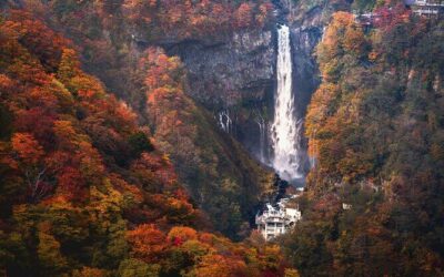 Best Tours & Experiences in Nikko