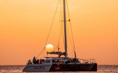Aruba Sunset Catamaran Sail with Appetizers and Open Bar (2026 Review & Booking Guide)
