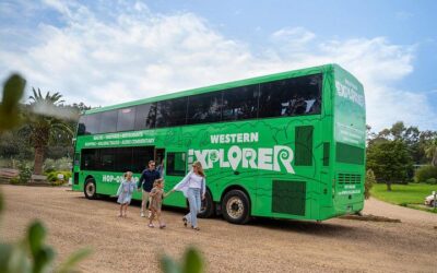 PREMIUM WINE tasting = Waiheke Island Wine Tours MAX 11 clients ! (2026 Review & Booking Guide)