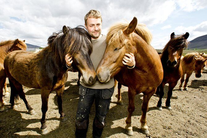 Best Tours & Experiences in Reykjavik Iceland 17 Icelandic Horse Riding - Reykjavik Iceland