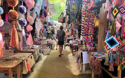 Best Tours & Experiences in Sayulita