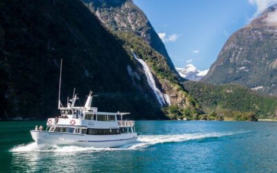 Cruise Milford NZ Small Boutique Cruise Experience (2026 Review & Booking Guide)