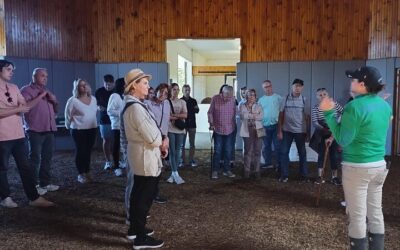 Best Things to Do in Lexington (2026): Top-Rated Tours & Experiences