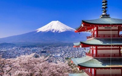 How Much Do Tours in Tokyo Cost? Tokyo Tour Prices (2026)