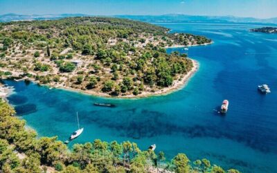 Blue Cave, Mamma Mia and Hvar, 5 Islands Speed boat Small group (2026 Review & Booking Guide)